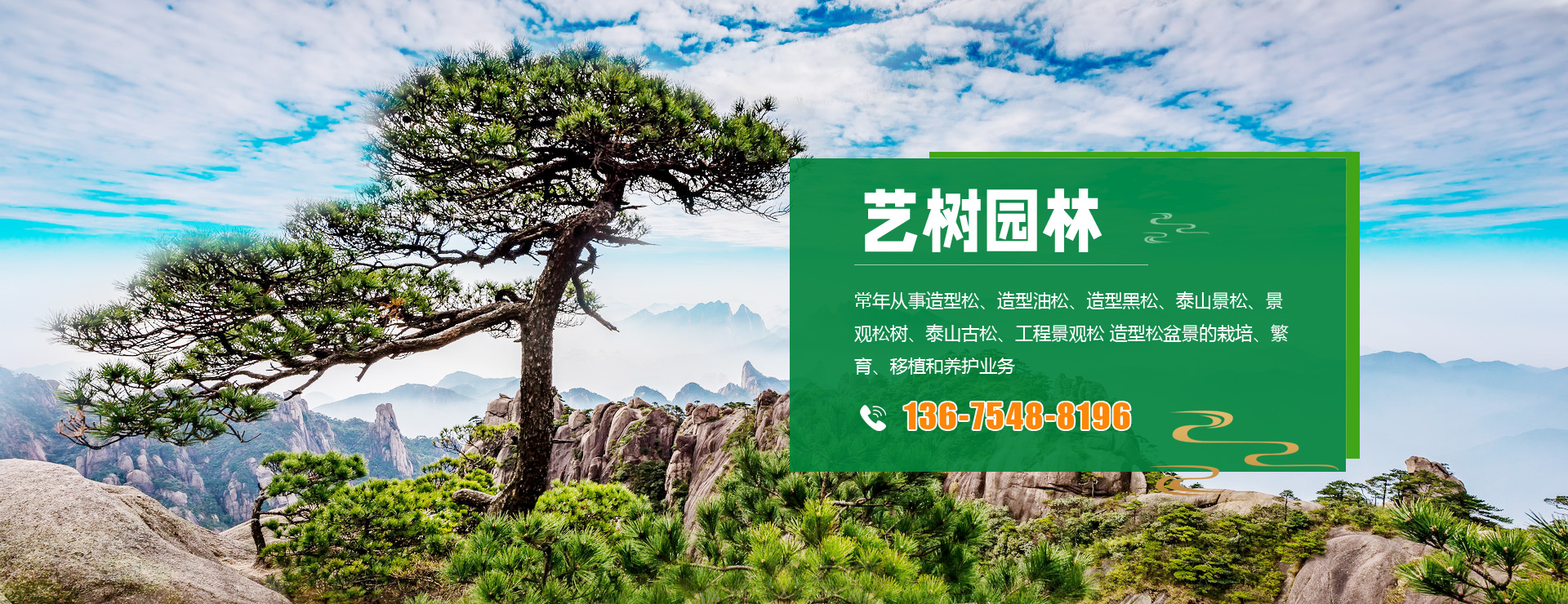 泰安艺树园林绿化有限公司