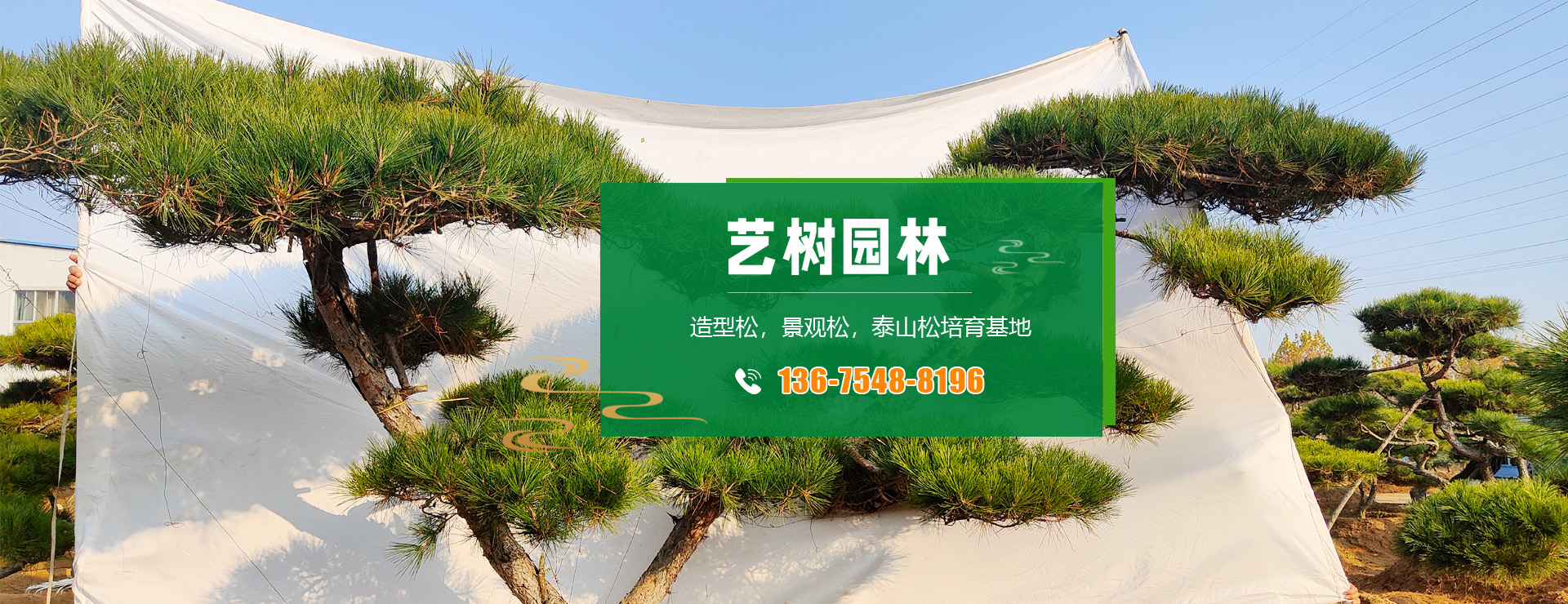 泰安艺树园林绿化有限公司