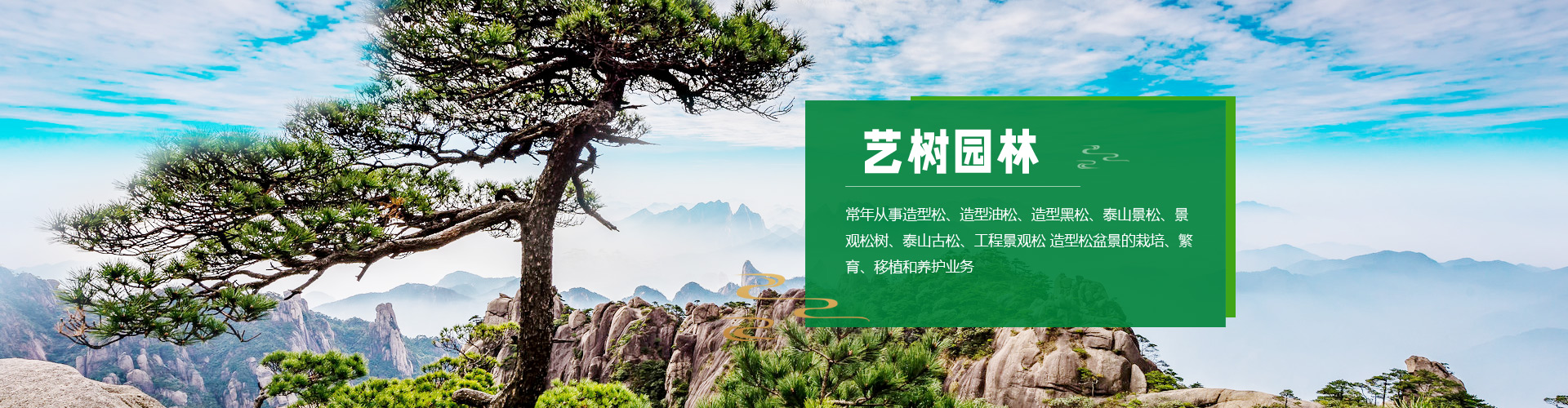 泰安艺树园林绿化有限公司