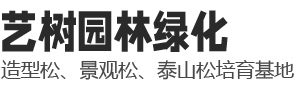 泰安艺树园林绿化有限公司